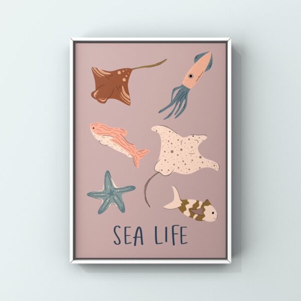 Colourful Sea life