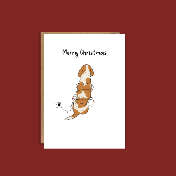 A Bracco Italiano Kind of Christmas
