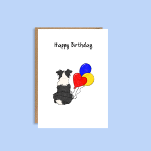 A Border Collie Kind of Birthday