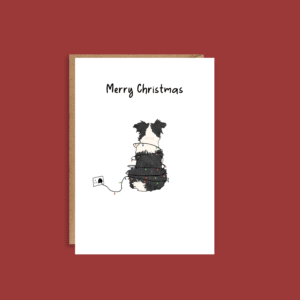 A Border Collie Kind of Christmas